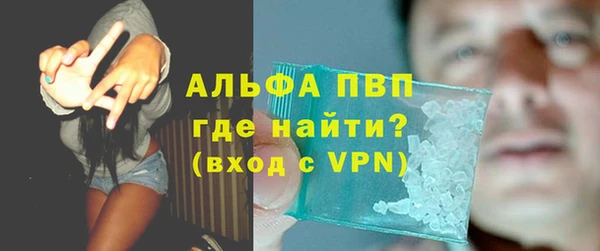 сатива Белокуриха