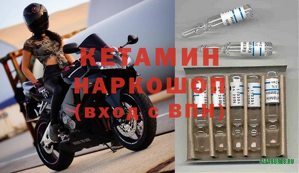 сатива Белокуриха