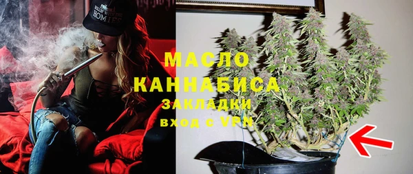 сатива Белокуриха