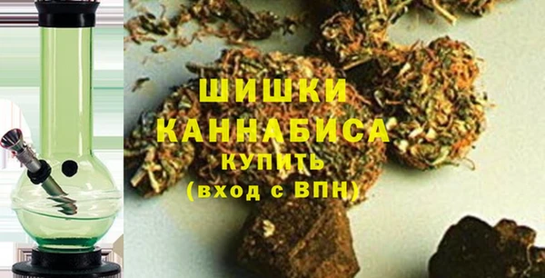 сатива Белокуриха