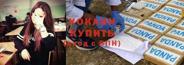сатива Белокуриха