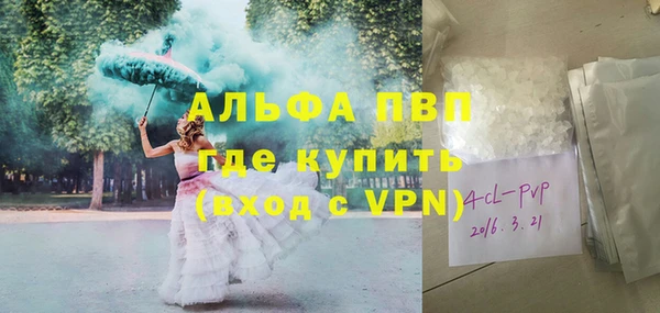 сатива Белокуриха