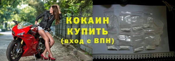 сатива Белокуриха